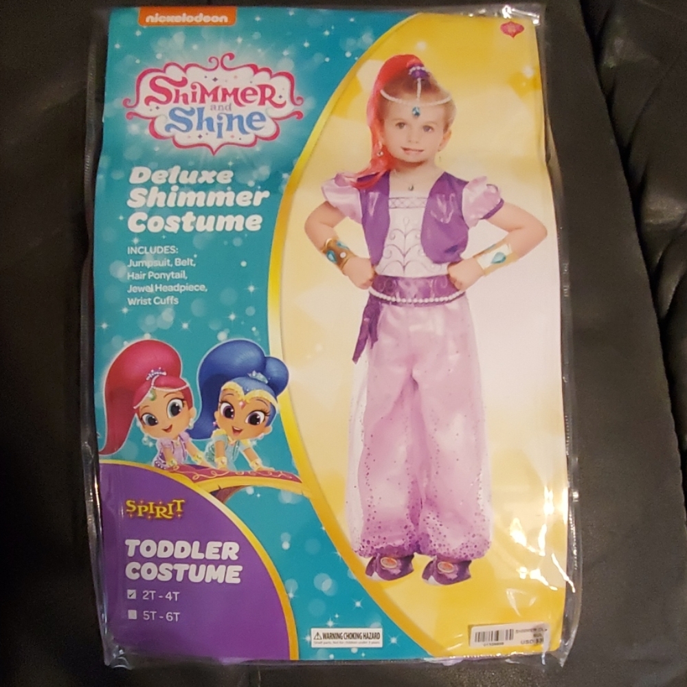 Toddler costume